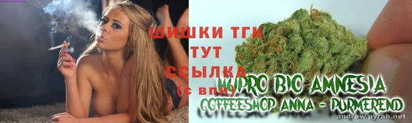 трава Аркадак