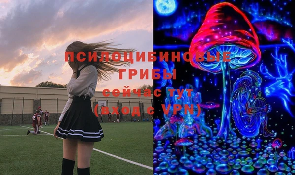 метадон Армянск