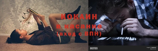 кокс Арсеньев