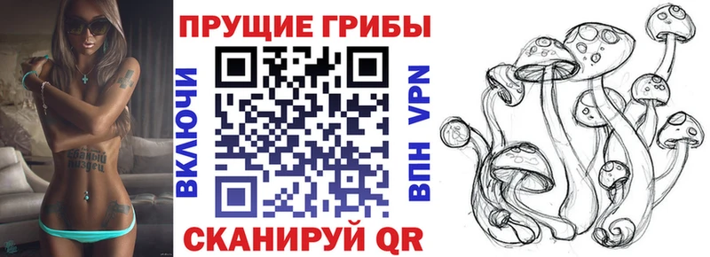Псилоцибиновые грибы мицелий  гидра tor  Стародуб 